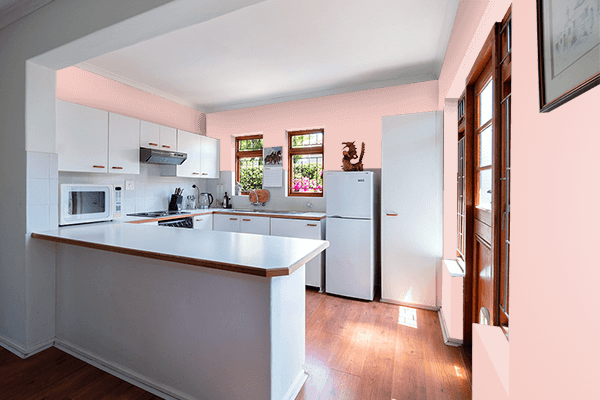 Pretty Photo frame on Pastel Melon color kitchen interior wall color
