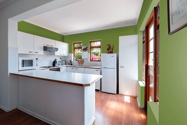 Pretty Photo frame on Hedge Green color kitchen interior wall color