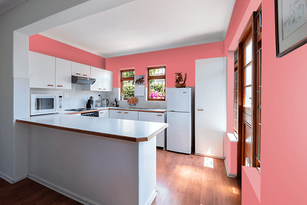 Pretty Photo frame on Coral Blush color kitchen interior wall color
