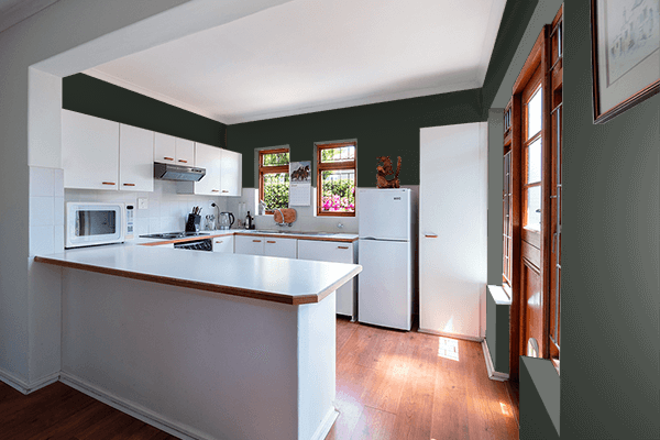 Pretty Photo frame on Melanite Black Green color kitchen interior wall color