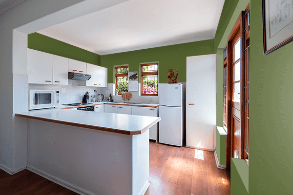 Pretty Photo frame on Basil Green color kitchen interior wall color
