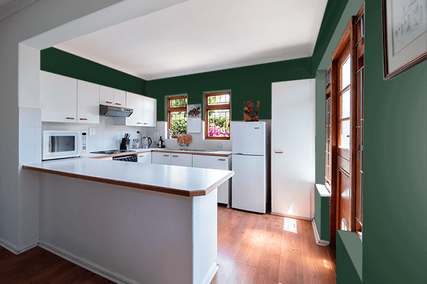 Pretty Photo frame on Pumpkin Green Black color kitchen interior wall color