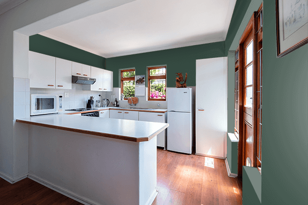 Pretty Photo frame on Garnet Black Green color kitchen interior wall color