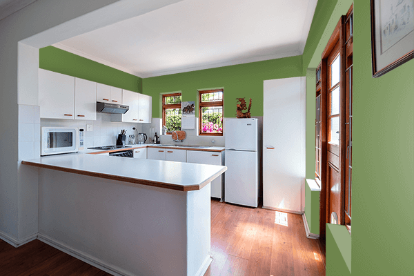 Pretty Photo frame on Lizard Green color kitchen interior wall color