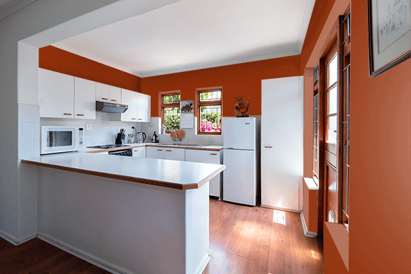 Pretty Photo frame on Primitive Red color kitchen interior wall color