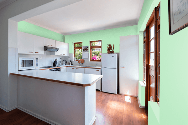 Pretty Photo frame on Subtle Green color kitchen interior wall color