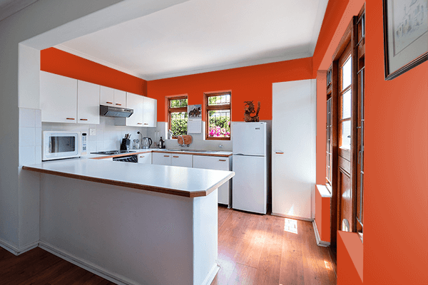 Pretty Photo frame on Carmine Orange color kitchen interior wall color