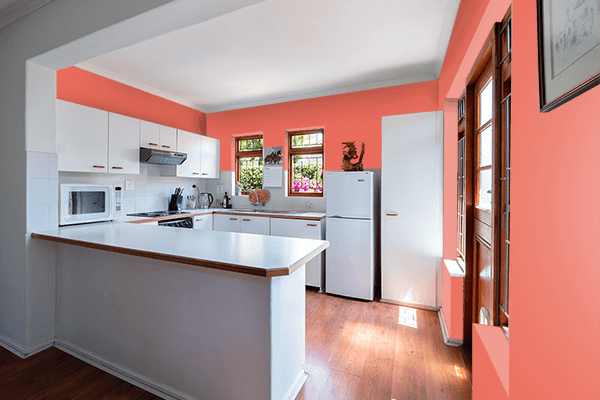 Pretty Photo frame on Salmon Red color kitchen interior wall color