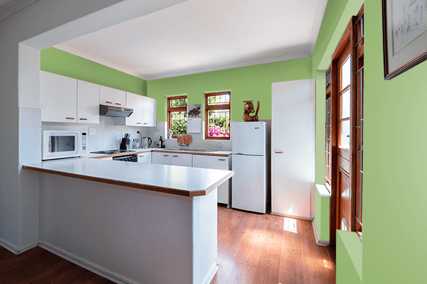Pretty Photo frame on Bonsai color kitchen interior wall color