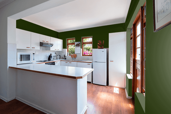 Pretty Photo frame on Dark Succulent Green color kitchen interior wall color