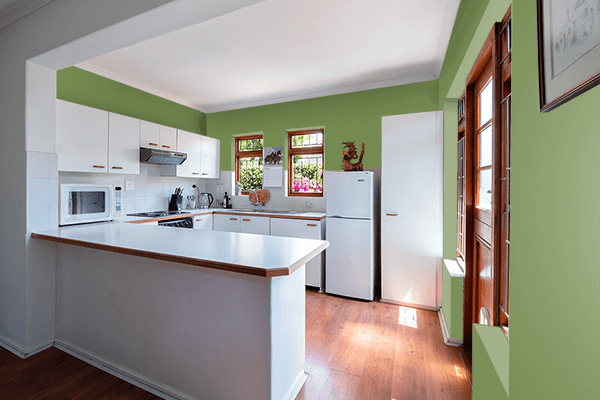 Pretty Photo frame on Oregano color kitchen interior wall color