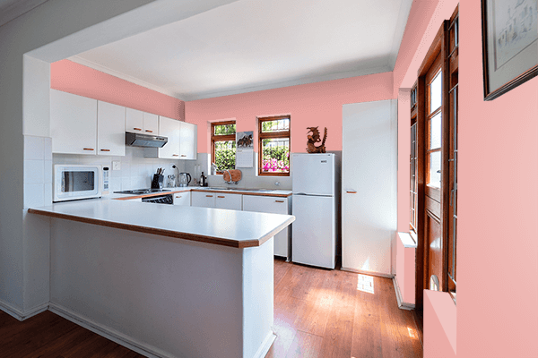 Pretty Photo frame on Salmon Pink color kitchen interior wall color