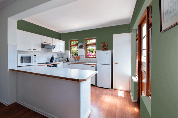 Pretty Photo frame on Dark Green Camo color kitchen interior wall color