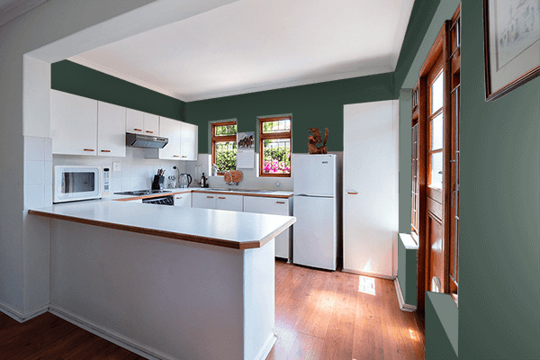 Pretty Photo frame on Neutral Dark Green color kitchen interior wall color