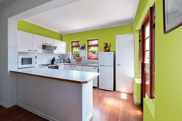 Pretty Photo frame on Lime Green (RAL Design) color kitchen interior wall color