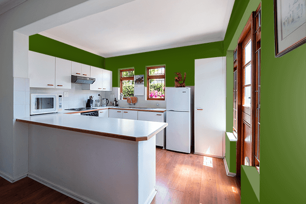 Pretty Photo frame on Freeway Green color kitchen interior wall color