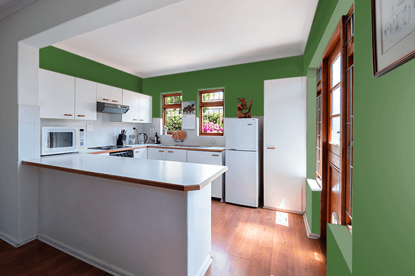 Pretty Photo frame on Flat Dark Green color kitchen interior wall color