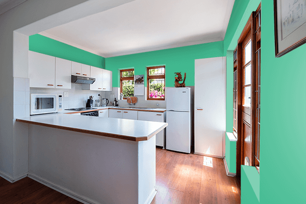 Pretty Photo frame on Sea Green (Traditional) color kitchen interior wall color