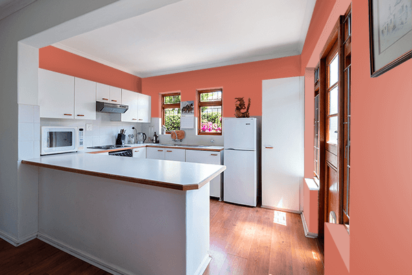 Pretty Photo frame on Salmon Pink (RAL) color kitchen interior wall color