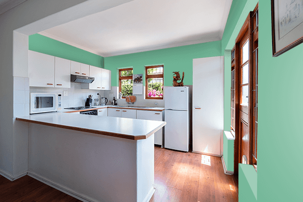 Pretty Photo frame on Copper Oxide color kitchen interior wall color