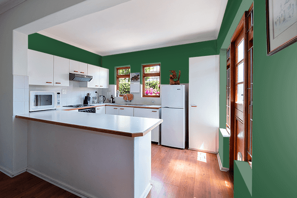 Pretty Photo frame on Classy Green color kitchen interior wall color