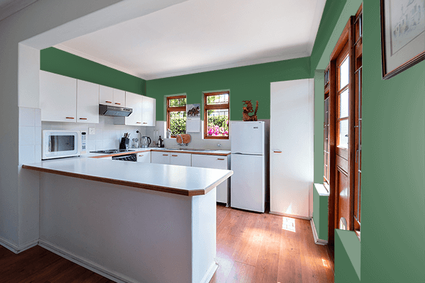 Pretty Photo frame on Bush Green color kitchen interior wall color