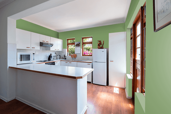 Pretty Photo frame on Pea Aubergine Green color kitchen interior wall color