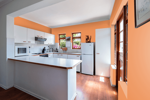 Pretty Photo frame on Classy Orange color kitchen interior wall color