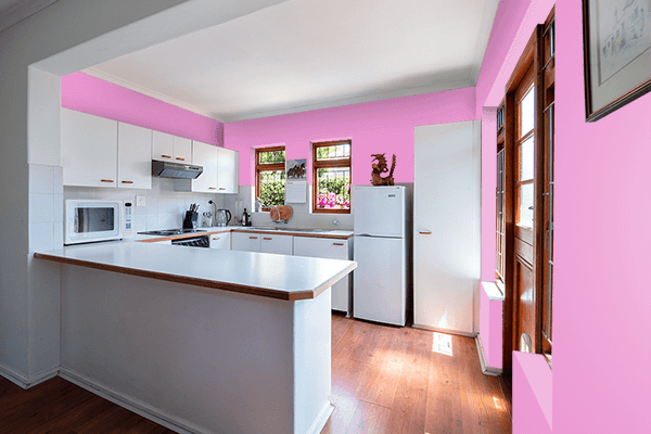 Pretty Photo frame on Brier Rose color kitchen interior wall color
