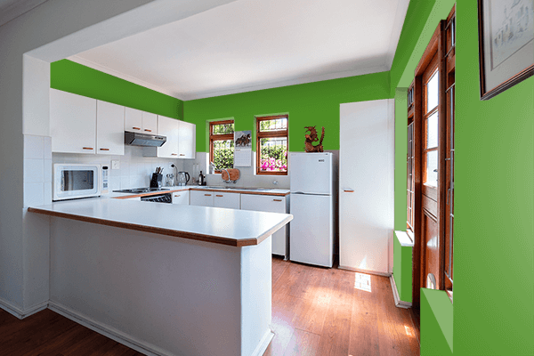 Pretty Photo frame on Lawn Green (Traditional) color kitchen interior wall color