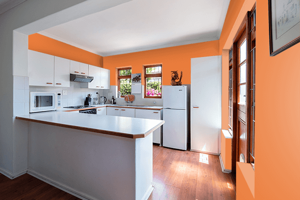 Pretty Photo frame on Luxury Orange color kitchen interior wall color
