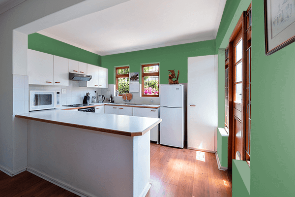 Pretty Photo frame on Field Green color kitchen interior wall color