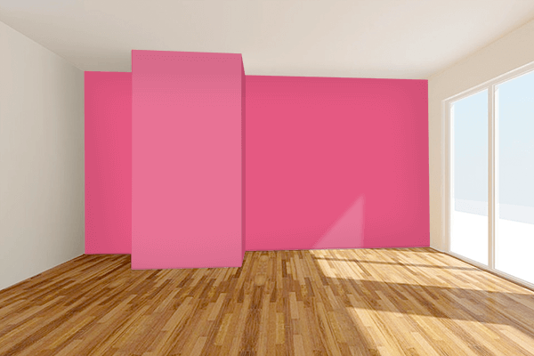 Pretty Photo frame on Hot Pink (Pantone) color Living room wal color
