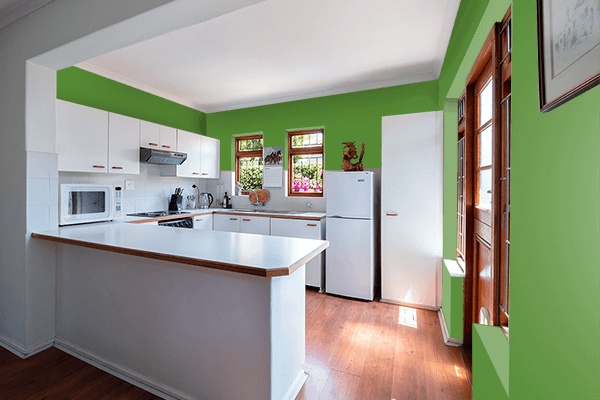 Pretty Photo frame on Green Glory color kitchen interior wall color