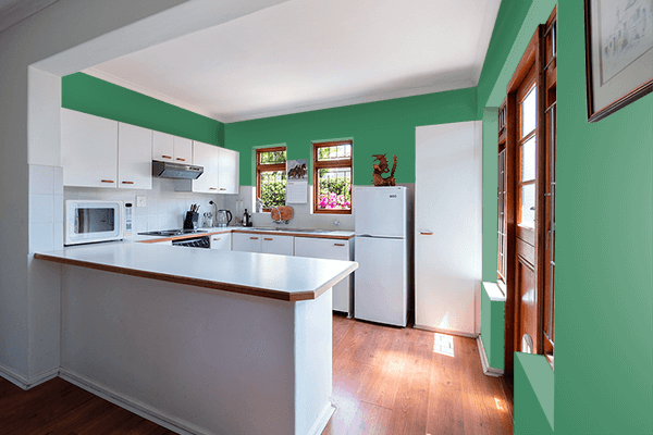 Pretty Photo frame on Adamite Green color kitchen interior wall color