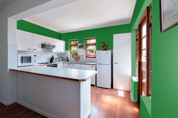 Pretty Photo frame on Deep Emerald color kitchen interior wall color