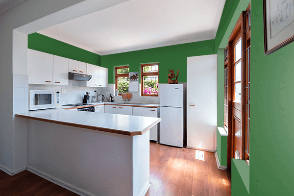 Pretty Photo frame on Emerald Green (RAL) color kitchen interior wall color
