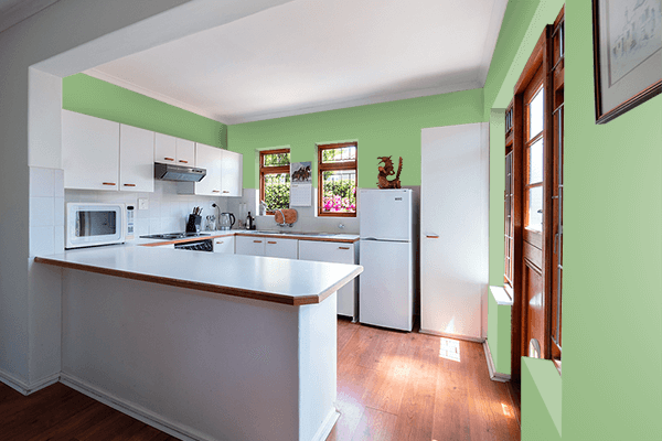 Pretty Photo frame on Green Calm color kitchen interior wall color
