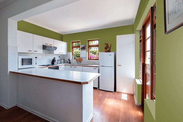 Pretty Photo frame on Matte Olive color kitchen interior wall color