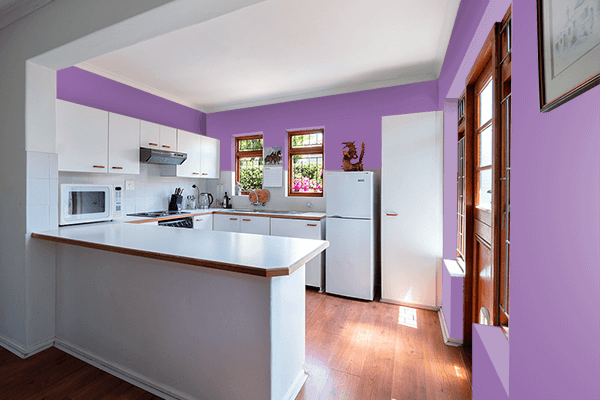 Pretty Photo frame on Relax Purple color kitchen interior wall color