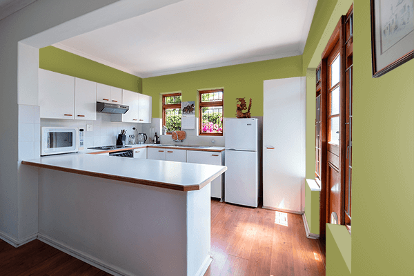 Pretty Photo frame on Pickle color kitchen interior wall color