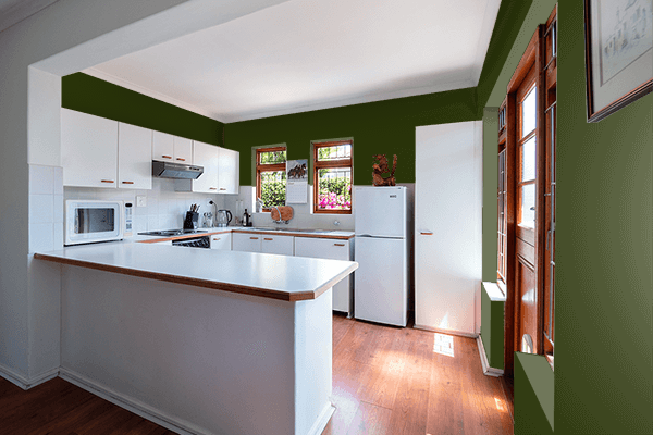 Pretty Photo frame on Pullman Green color kitchen interior wall color
