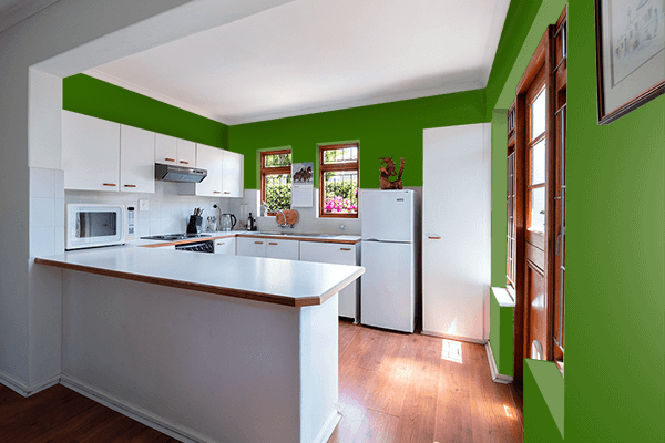Pretty Photo frame on Metallic Green color kitchen interior wall color