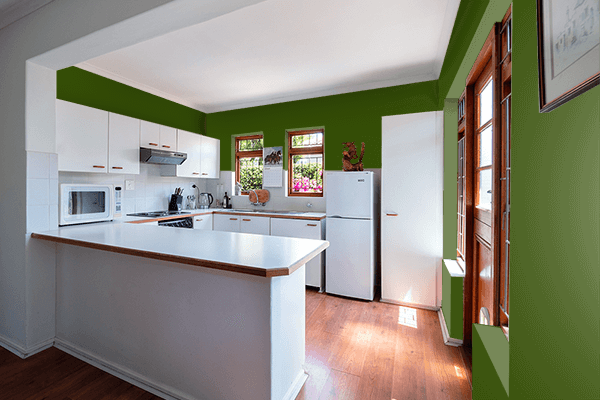 Pretty Photo frame on Lincoln Green color kitchen interior wall color