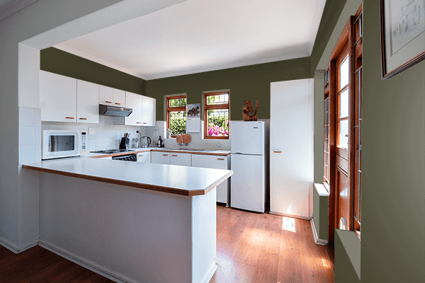 Pretty Photo frame on Dark Lava color kitchen interior wall color