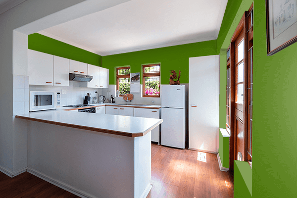 Pretty Photo frame on Avocado color kitchen interior wall color