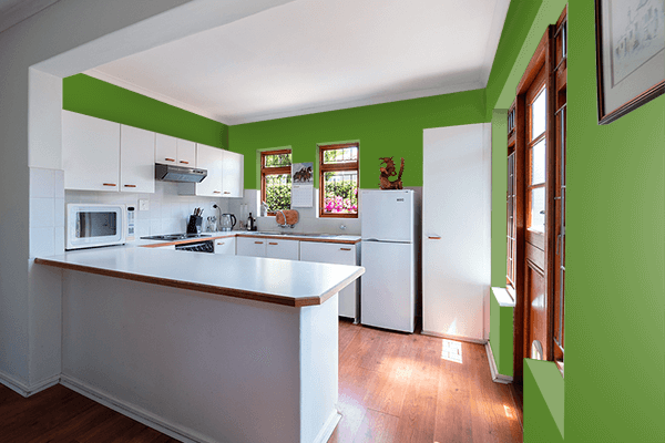 Pretty Photo frame on Sap Green color kitchen interior wall color