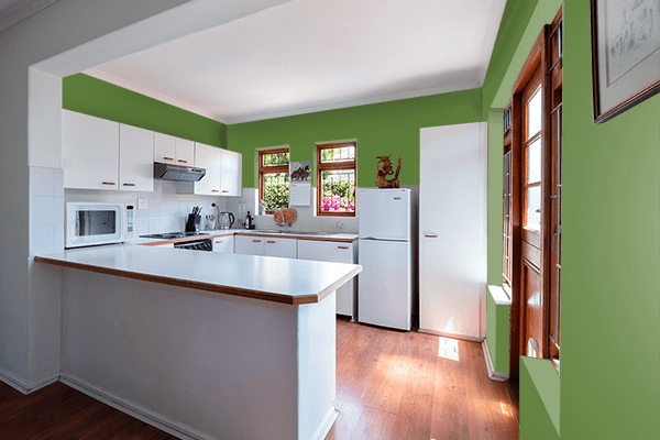 Pretty Photo frame on Maximum Green color kitchen interior wall color
