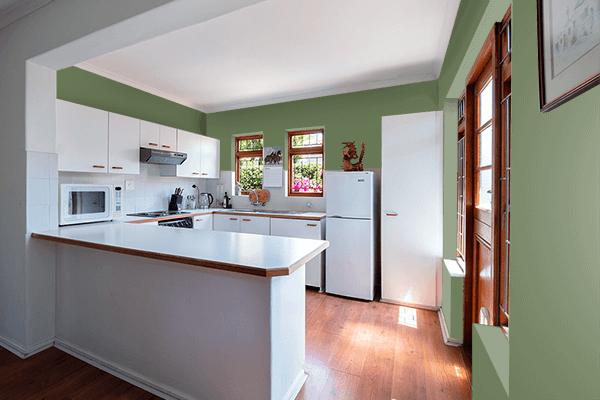 Pretty Photo frame on Axolotl color kitchen interior wall color