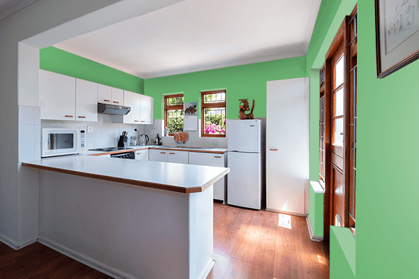 Pretty Photo frame on Iguana Green color kitchen interior wall color